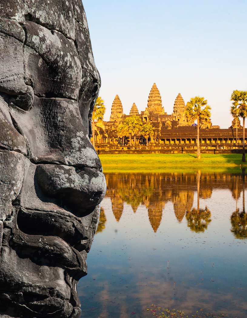 The Fin Travel & Tours