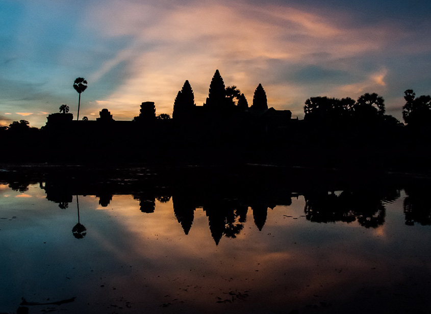 The Fin Travel & Tours