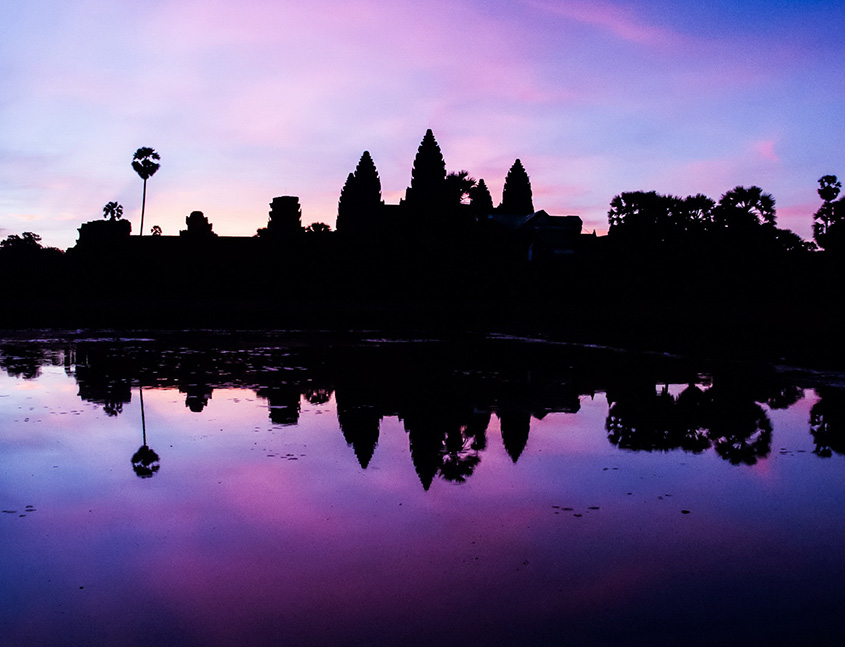The Fin Travel & Tours