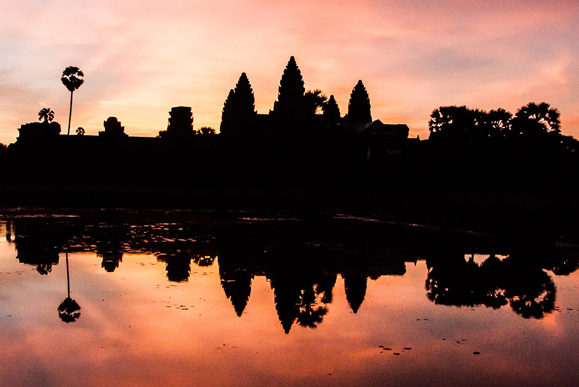 The Fin Travel & Tours