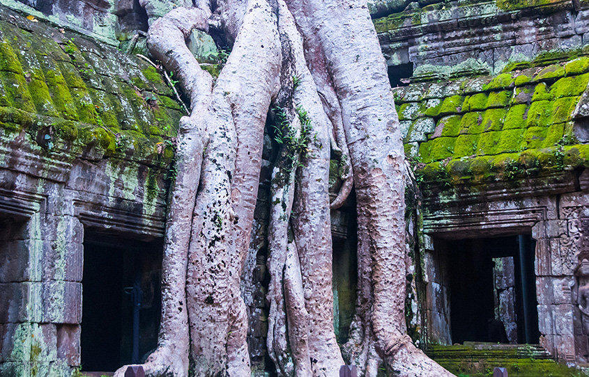 The Fin Travel & Tours