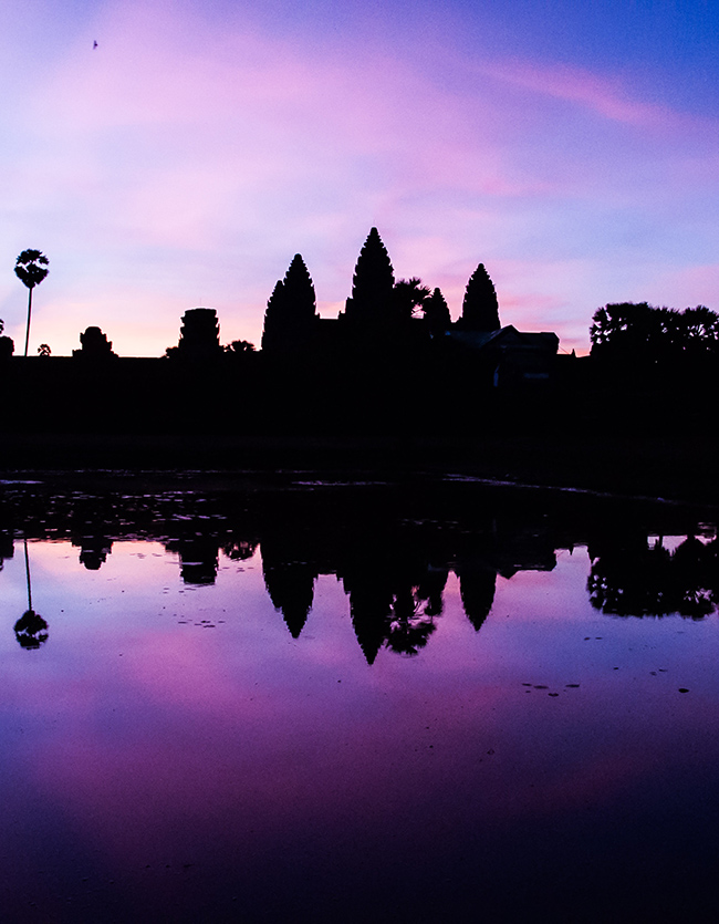 The Fin Travel & Tours