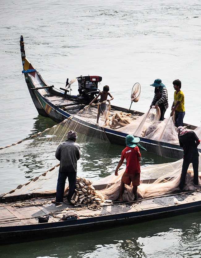 The Fin Travel & Tours