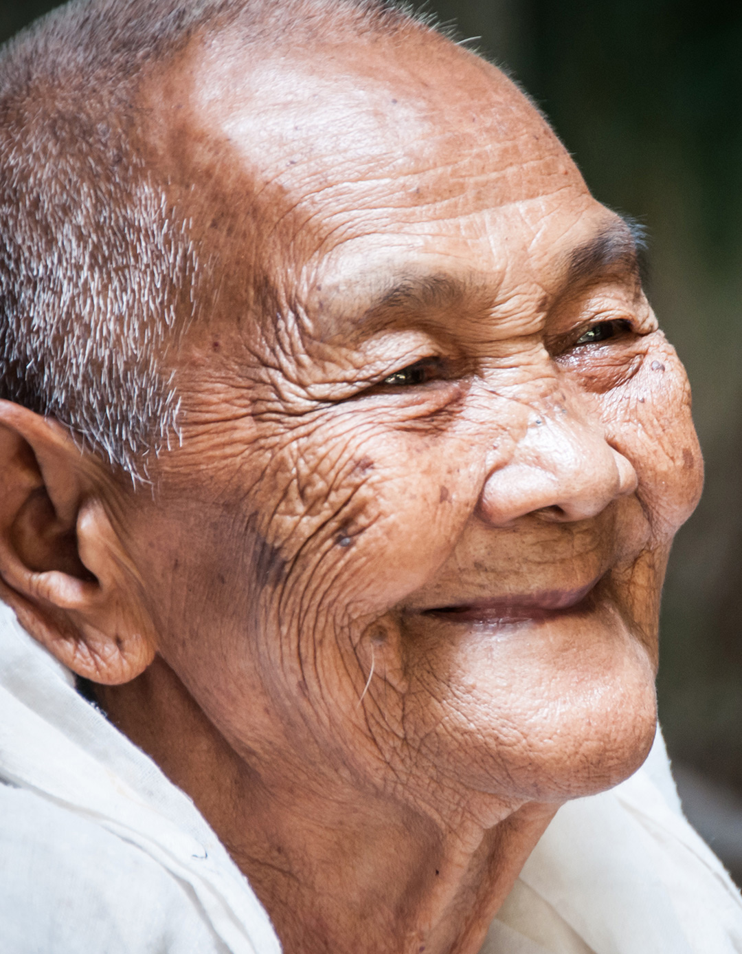 The Fin Travel & Tours